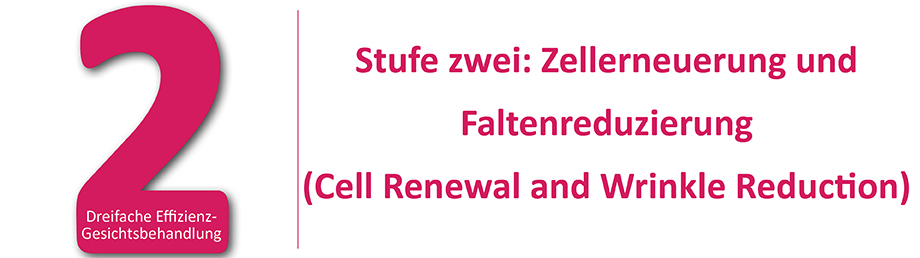 Stufe zwei: Zellerneuerung und Faltenreduzierung
